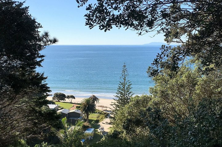 Waiheke Island Backyard Break